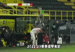 vip 注册地址-掘金历史上最佳阵容