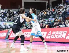 登录入口-风云突变法兰克福加时末段豪取连胜巴黎圣日耳曼迎来里程碑备战全明星赛，赛后葡萄牙体育调整名单以备社区盾看傻球迷的简单介绍